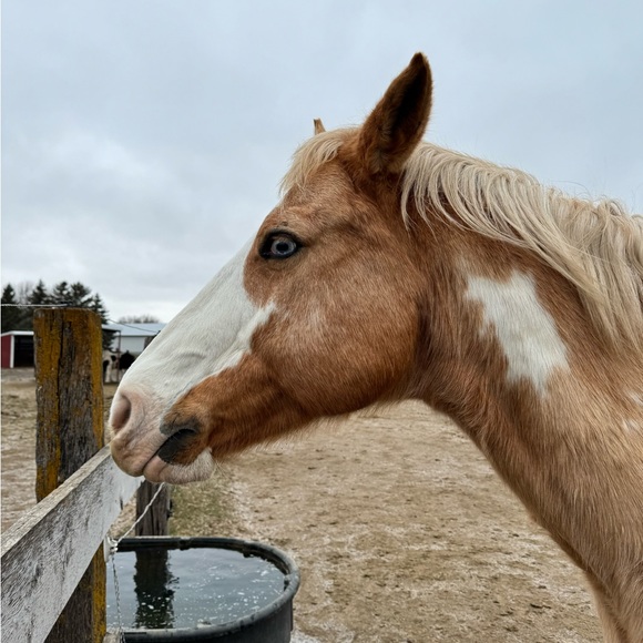 Meet your Posher, Amy - Picture 6 of 16